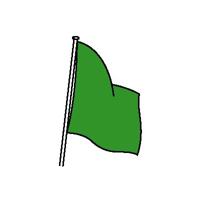 DRAPEAU DE COURSE VERT