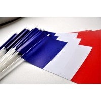 Drapeau de Bâton de la France 14 * 21CM Petit Drapeau Français Tricolore  Tenu dans la Main 25 Pcs pour Le 14 Juillet