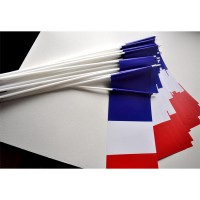 DRAPEAUX FRANCE - PAPIER 12X24CM