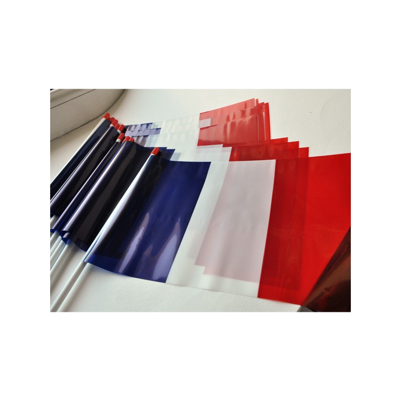 100 DRAPEAUX FRANCE 10x16cm - papier indéchirable