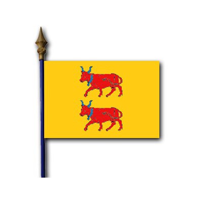 DRAPEAU Béarn