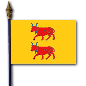 Drapeau Béarn 90x150cm - Polyester 90g Avec Œillets - Double Couture - Pour Extérieur Et Décoration