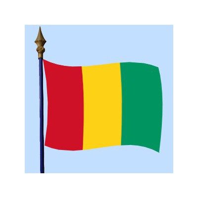 Drapeau Guinée 120 x 180 cm - véritable drapeau Guinéen en tissu : Promociel