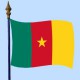 DRAPEAU Cameroun 