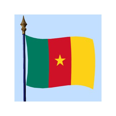 DRAPEAU Cameroun 