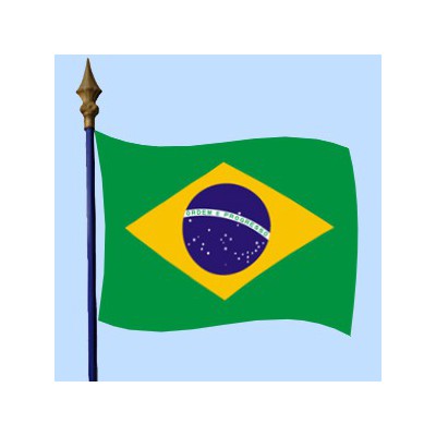 DRAPEAU Brésil 