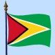 DRAPEAU Guyana 