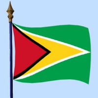 DRAPEAU Guyana 