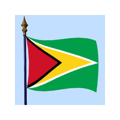DRAPEAU Guyana 