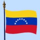 DRAPEAU Venezuela 