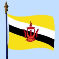 DRAPEAU Brunei 