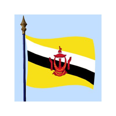 DRAPEAU Brunei 